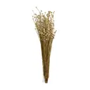 FIBRA CLARA - FLOR FOLHAGEM CONGONHA