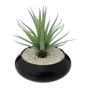 ARRANJO ALOE VERA - PRETO/VERDE - Foto 2