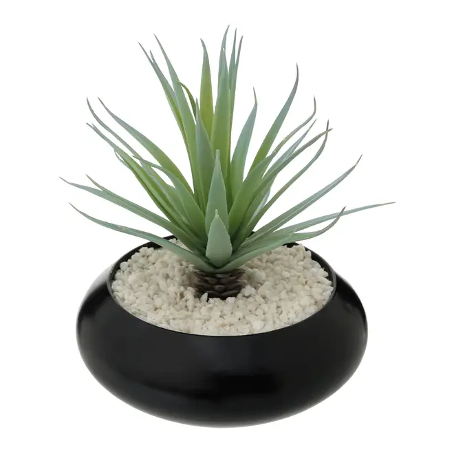 ARRANJO ALOE VERA - PRETO/VERDE - Foto 2