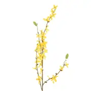 435793_OK_V02.png