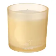 VELA PERFUMADA POTE BERGAMOTA, FOLHAS VERDES E SÂNDALO MULHER PÁSSARO - AZUL/MULTICOR - Foto 2