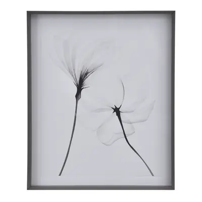 QUADRO 69 CM X 84 CM X-RAY FLOWERS II