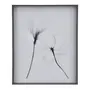 QUADRO 69 CM X 84 CM X-RAY FLOWERS II - KONKRET/BRANCO - Foto 1