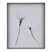 QUADRO 69 CM X 84 CM X-RAY FLOWERS II - KONKRET/BRANCO - Foto 1