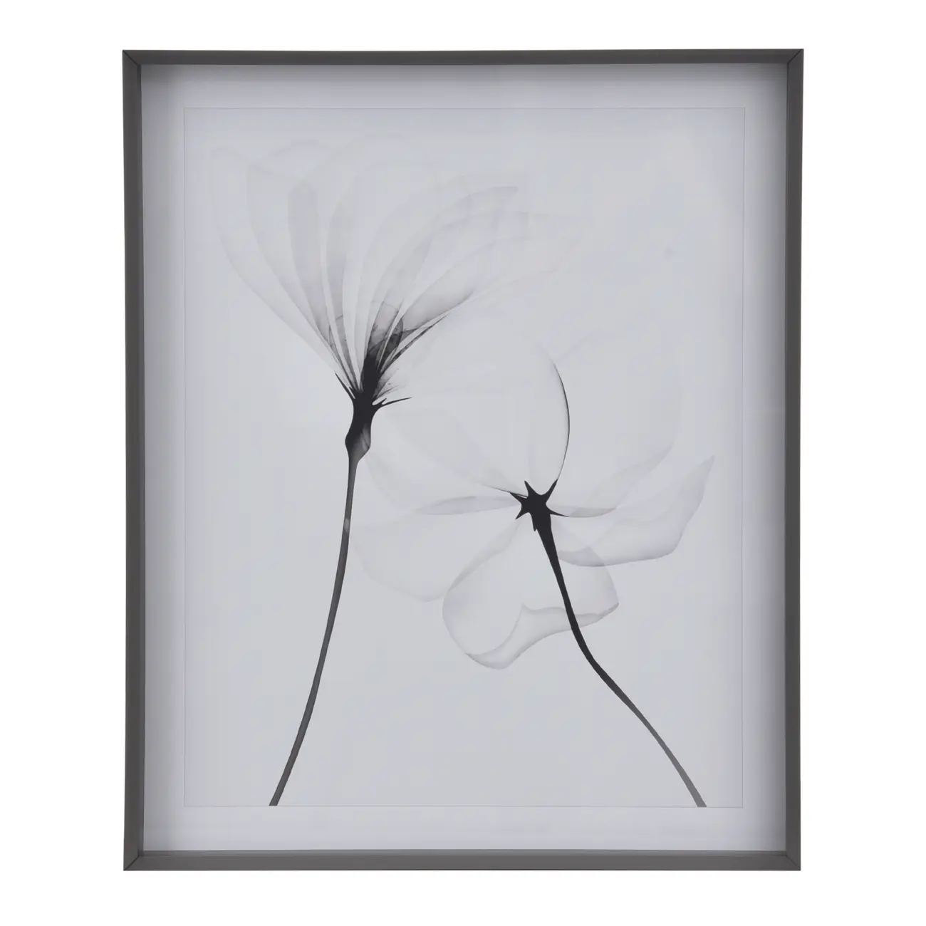 QUADRO 69 CM X 84 CM X-RAY FLOWERS II - KONKRET/BRANCO - Foto 1