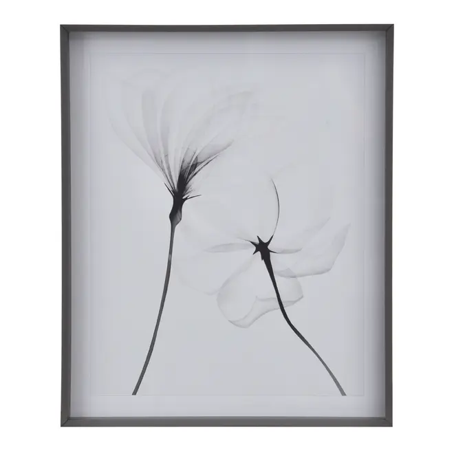 QUADRO 69 CM X 84 CM X-RAY FLOWERS II - KONKRET/BRANCO - Foto 1