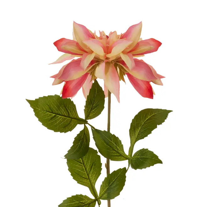FLOR DAUDIN DÁLIA - ROSA/VERDE - Foto 2