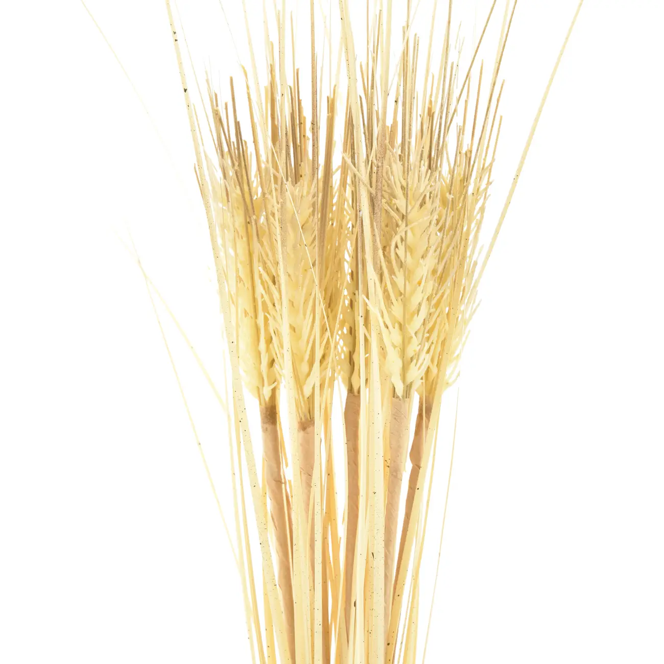 FOLHAGEM REED BUSH - BEGE/BEGE - Foto 2
