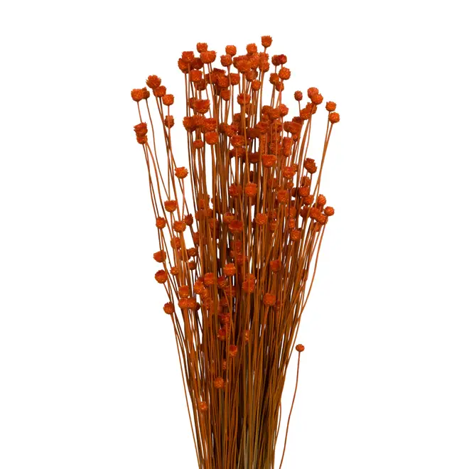 FLOR FOLHAGEM CONGONHA - TERRACOTA - Foto 8