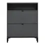 GRAFITE/PRETO - SAPATEIRA 2 PORTAS BASCULANTE SLEEK
