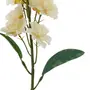 435794_OK_V03.png
