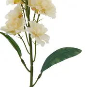 435794_OK_V03.png