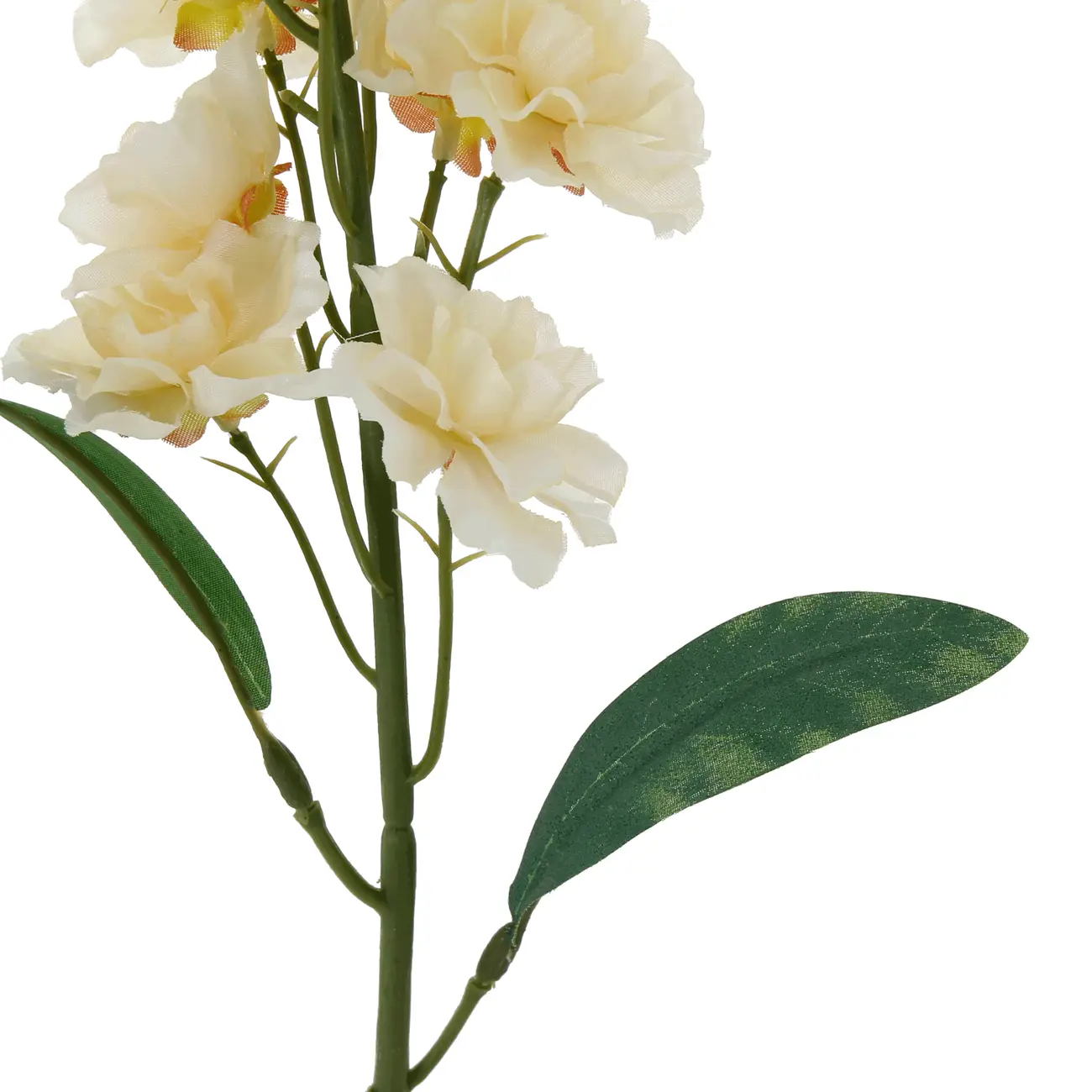 435794_OK_V03.png