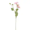 FLOR BOUTONS DÁLIA