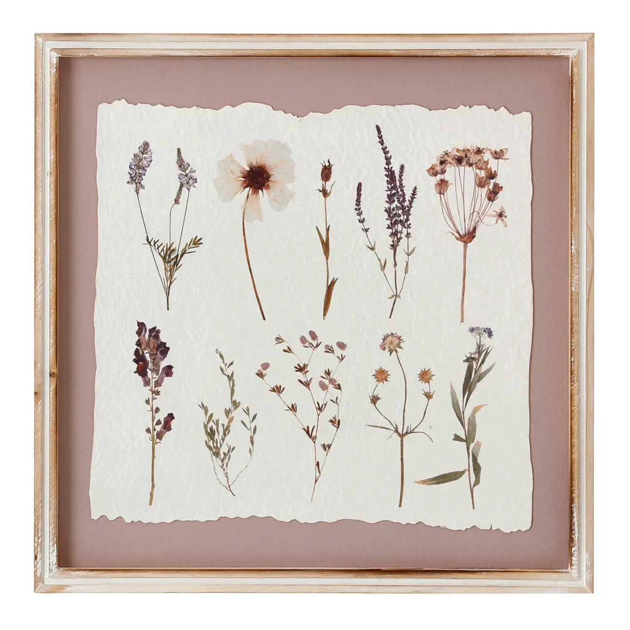 QUADRO II 40 CM X 40 CM BOTANICAL - BRANCO PROVENCE/VIN ROSE - Foto 1