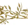 438971_OK_V04.png