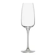 TAÇA CHAMPANHE 290 ML ELYSI TITAN - INCOLOR - Foto 1