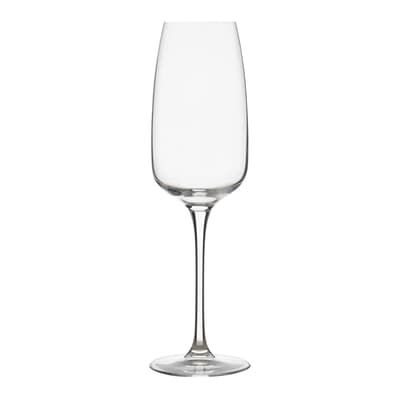 TAÇA CHAMPANHE 290 ML ELYSI TITAN