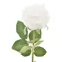 ROSE FLOR - BRANCO/VERDE - Foto 2