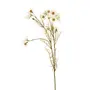 FLOR SKY COSMOS - OFF-WHITE/MARROM - Foto 1