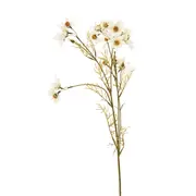 FLOR SKY COSMOS - OFF-WHITE/MARROM - Foto 1