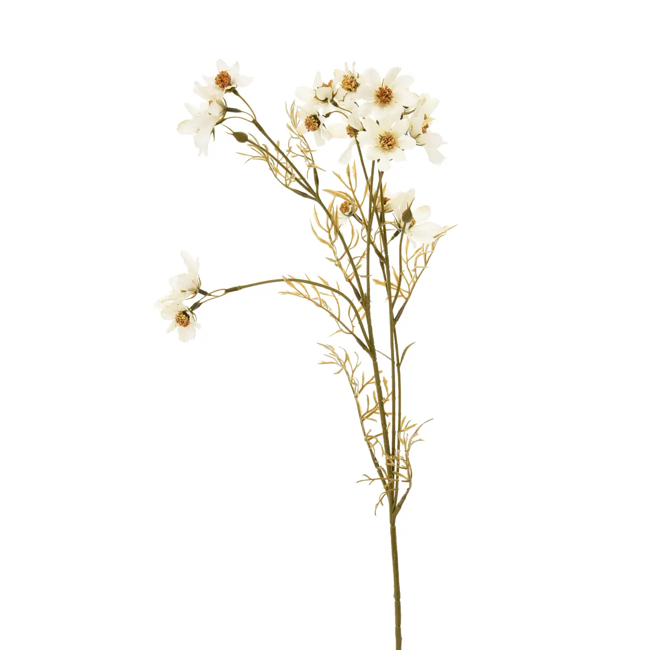 FLOR SKY COSMOS - OFF-WHITE/MARROM - Foto 1