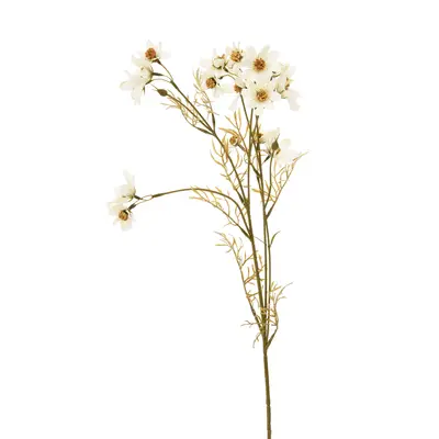 FLOR SKY COSMOS
