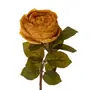 OLIVER-ROSA-OUTONAL-FLOR_2.jpg