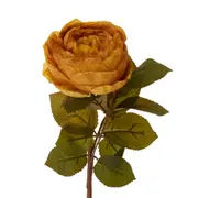 OLIVER-ROSA-OUTONAL-FLOR_2.jpg