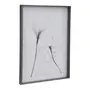 QUADRO 69 CM X 84 CM X-RAY FLOWERS II - KONKRET/BRANCO - Foto 2