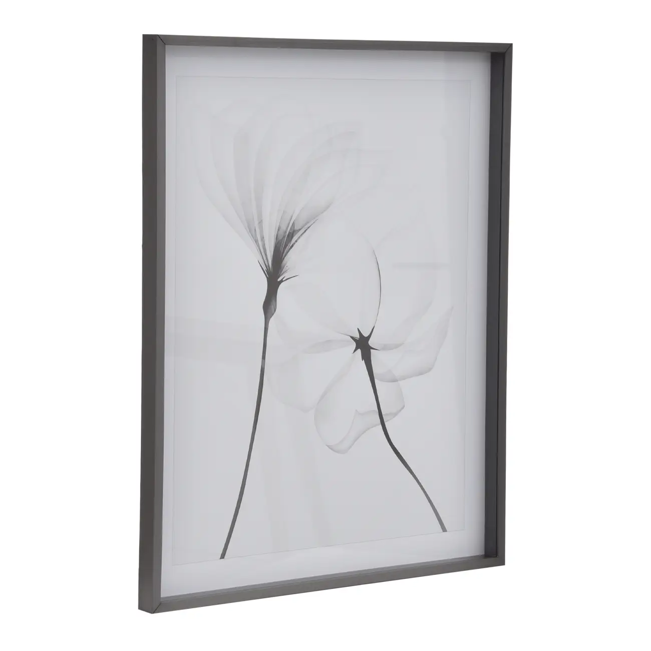 QUADRO 69 CM X 84 CM X-RAY FLOWERS II - KONKRET/BRANCO - Foto 2