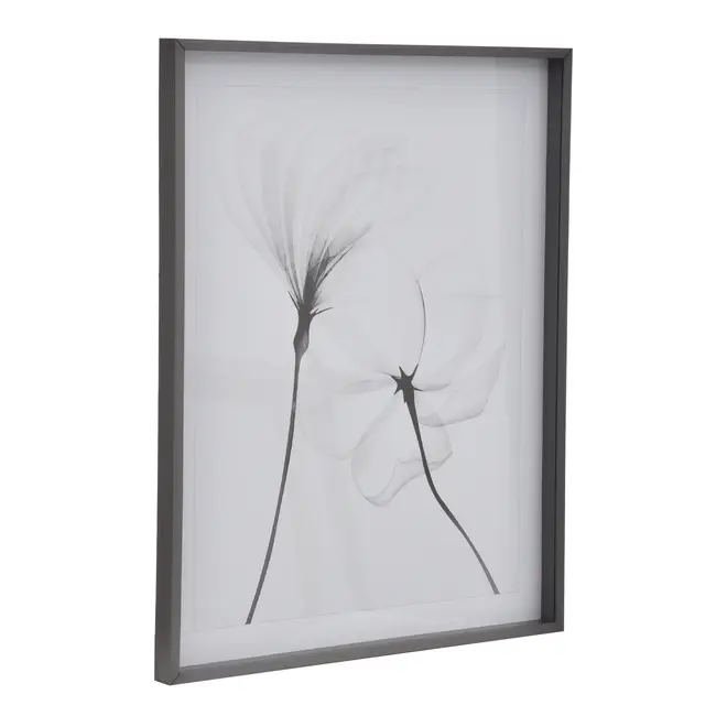 QUADRO 69 CM X 84 CM X-RAY FLOWERS II - KONKRET/BRANCO - Foto 2