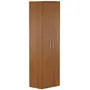 GUARDA-ROUPA 2 PORTAS 5 PRATELEIRAS 35 MAXIMUS - FREIJÓ - Foto 14
