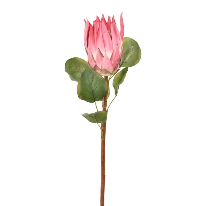 435492_OK_V01.png