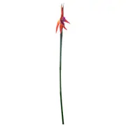 MADAME FLOR ESTRELÍCIA - LARANJA/VERDE - Foto 2
