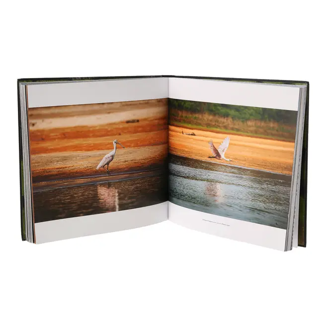 LIVRO AMAZÔNIA - MULTICOR - Foto 4
