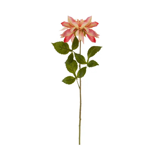 FLOR DAUDIN DÁLIA - ROSA/VERDE - Foto 1
