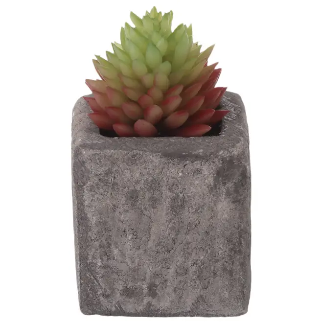 YUKATÁN SUCULENTA AURORA MINI ARRANJO - GRAFITE/VERDE - Foto 1