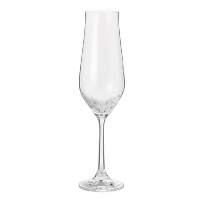 TAÇA CHAMPANHE 170 ML TULIP TITAN