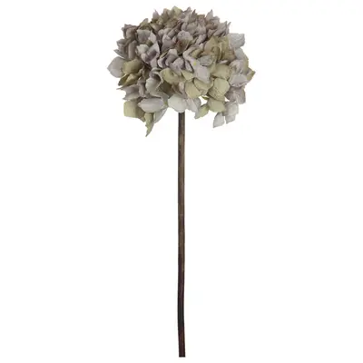 FLOR BIA HORTÊNCIA