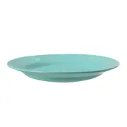 PRATO RASO COLOR UP - SORBET DE MENTA - Foto 2