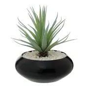 ARRANJO ALOE VERA - PRETO/VERDE - Foto 1