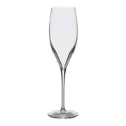 TAÇA PARA CHAMPANHE 310 ML CHEERS - INCOLOR - Foto 1