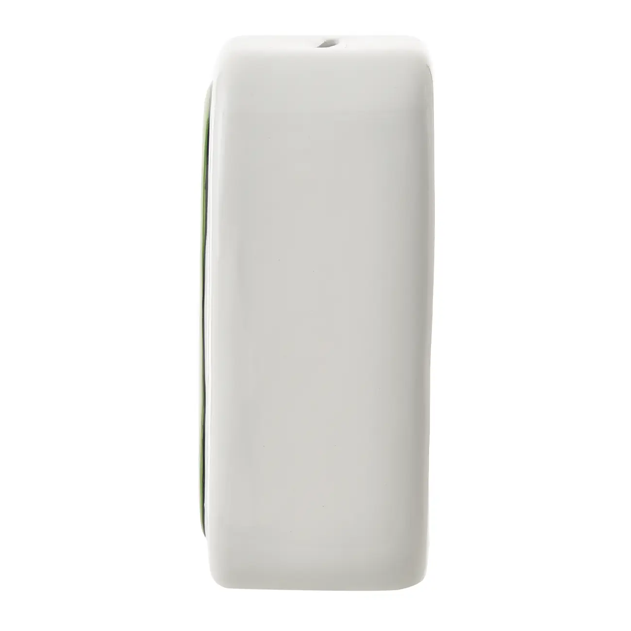 COFRE BENTOSSAURO BRONTO - BRANCO/VERDE - Foto 4