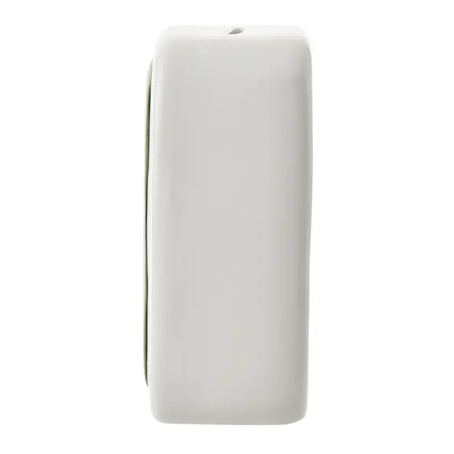 COFRE BENTOSSAURO BRONTO - BRANCO/VERDE - Foto 4