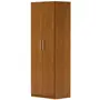 GUARDA-ROUPA/SAPATEIRA 2 PORTAS 45 MAXIMUS - FREIJÓ - Foto 9