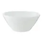 431656-SALADEIRA-(1).png