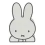 COFRE MIFFY - BRANCO/KONKRET - Foto 1