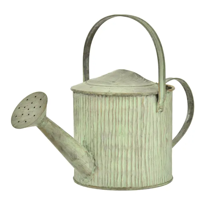 REGADOR DECORATIVO 29 CM CAÍPE - SÁLVIA - Foto 1