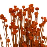 FLOR FOLHAGEM CONGONHA - TERRACOTA - Foto 7